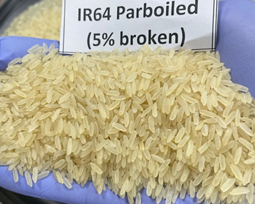 IR 64 Parboiled (Non-Basmati Rice)